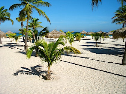 Manchebo Beach Resort & Spa